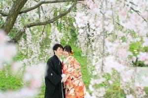 枝垂れ桜の中ほっぺをくっつけるご新郎新婦様