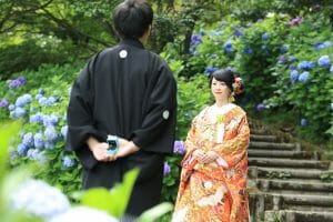 金沢の花菖蒲園にて紫陽花との和装前撮り撮影
