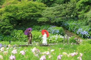 金沢市内の観光名所「卯辰山花菖蒲園」での前撮り写真