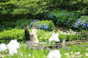 金沢市内の卯辰山花菖蒲園での和装前撮り写真
