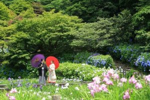 金沢市内の卯辰山花菖蒲園で番傘を持って和装前撮り写真