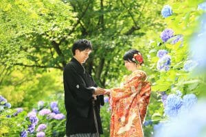 金沢市の花菖蒲園にて紫陽花との和装前撮り撮影