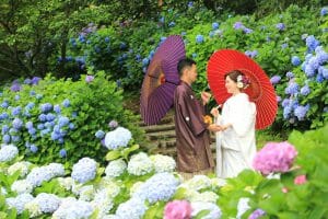 金沢市の花菖蒲園で番傘を指して前撮りをする新郎新婦様