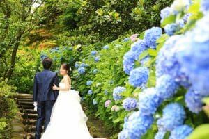 金沢市内の卯辰山花菖蒲園でお取りしたドレスの前撮り写真