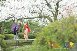 金沢の観光地兼六園で番傘を持って前撮りをされる新郎新婦様