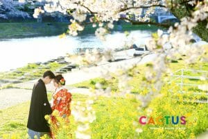 桜の合間から金沢市の浅野川沿いで前撮りをする新郎新婦様