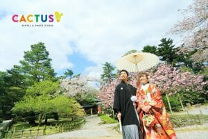 兼六園内の桜を背景に番傘を持って前撮りをする新郎新婦様