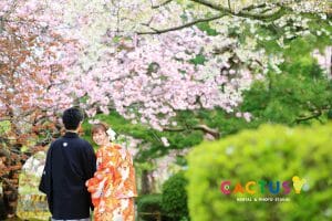 八重桜を背景に兼六園で和装の前撮りをする花嫁様