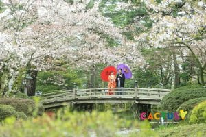 兼六園の花見橋の上で番傘を持って前撮りをする新郎新婦様